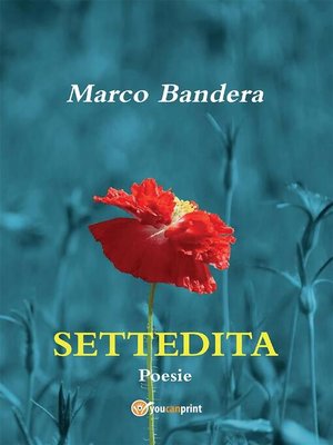 cover image of Settedita
